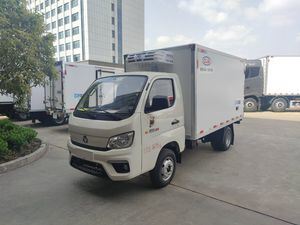 先进4&times;2冷链运输车，专用于疫苗与药品配送