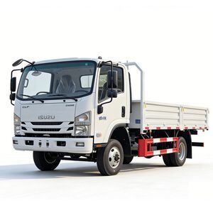 小型标准货运卡车价格，五十铃5吨货运卡车，中国厢式货车厂家