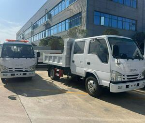 五十铃双排迷你自卸车 3000升自卸车 工厂直供